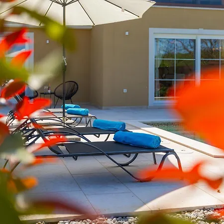 Beautiful Onit With Outdoor Pool In Vizinada Ferenci
